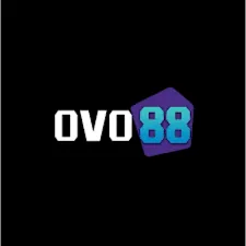 OVO88 - Petualangan Terbuka yang Menarik